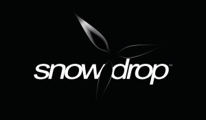 Snowdrop Engine